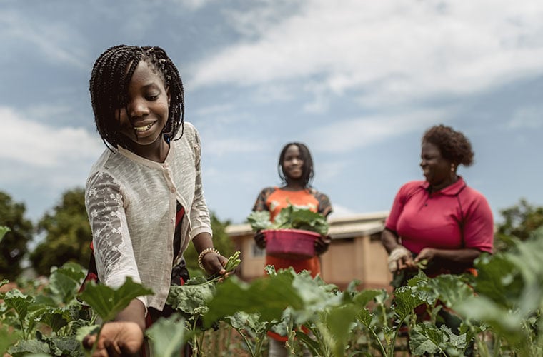 tre kvinnor står i grön odling